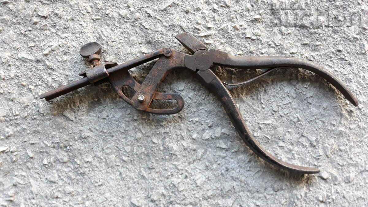 Delivery of antique pliers tool chapraz Delivery of antique pliers tool chapraz