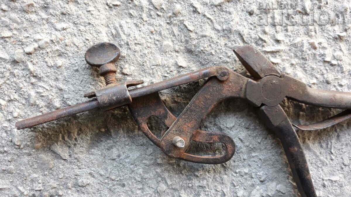 antique pliers tool chapraz - 6 antique pliers tool chapraz - 6