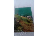 Carte poștală lângă Capul Kaliakra
