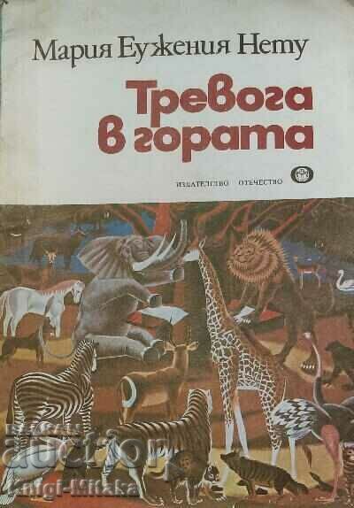 Anxiety in the forest - Maria Eugenia Netu Anxiety in the forest - Maria Eugenia Netu