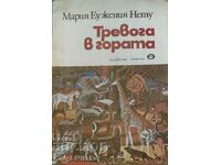 Тревога в гората - Мария Еужения Нету