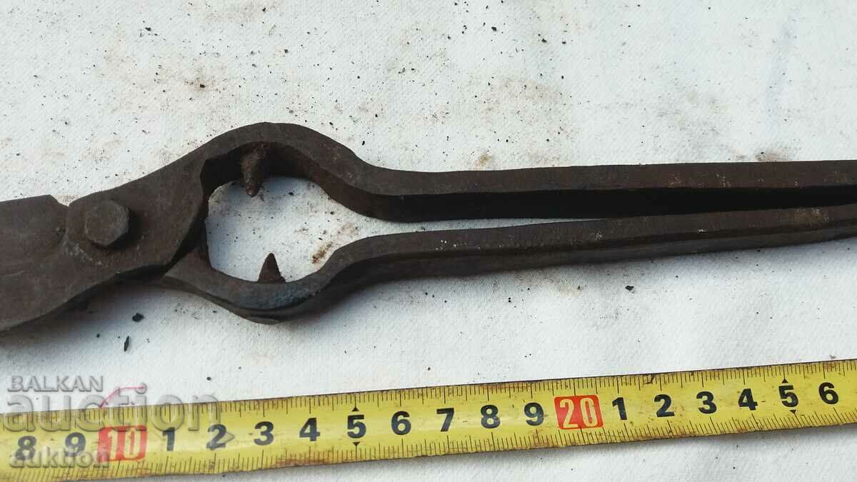 Auction SOLID FORGED RENAISSANCE VINE CUTTING SCISSORS Auction SOLID FORGED RENAISSANCE VINE CUTTING SCISSORS