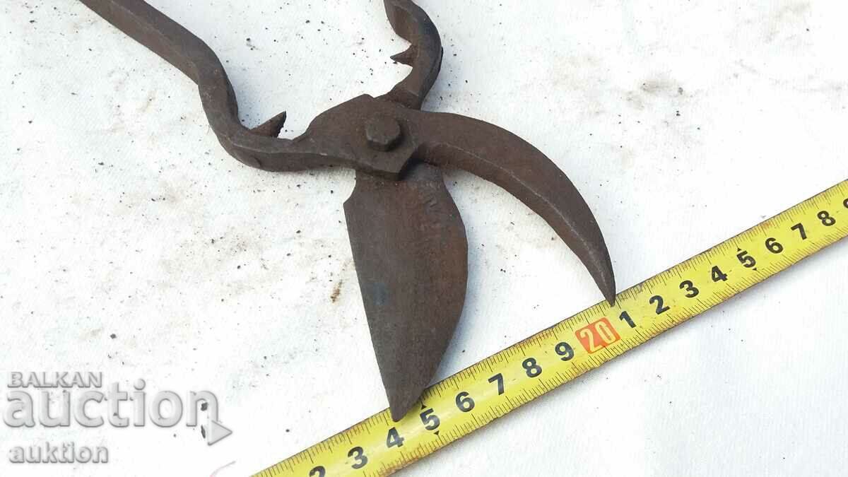 SOLID FORGED RENAISSANCE VINE CUTTING SCISSORS - 5 SOLID FORGED RENAISSANCE VINE CUTTING SCISSORS - 5