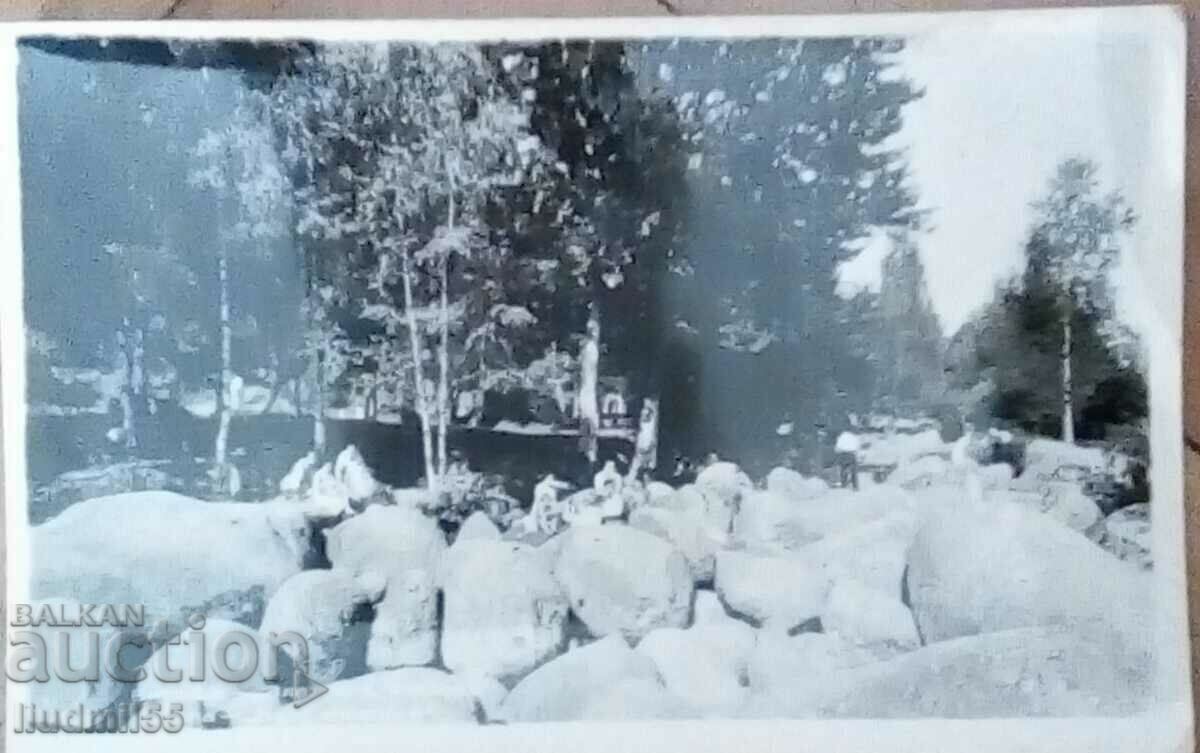 VECHIA KARTICHA VITOSHA - PODURILE DE AUR