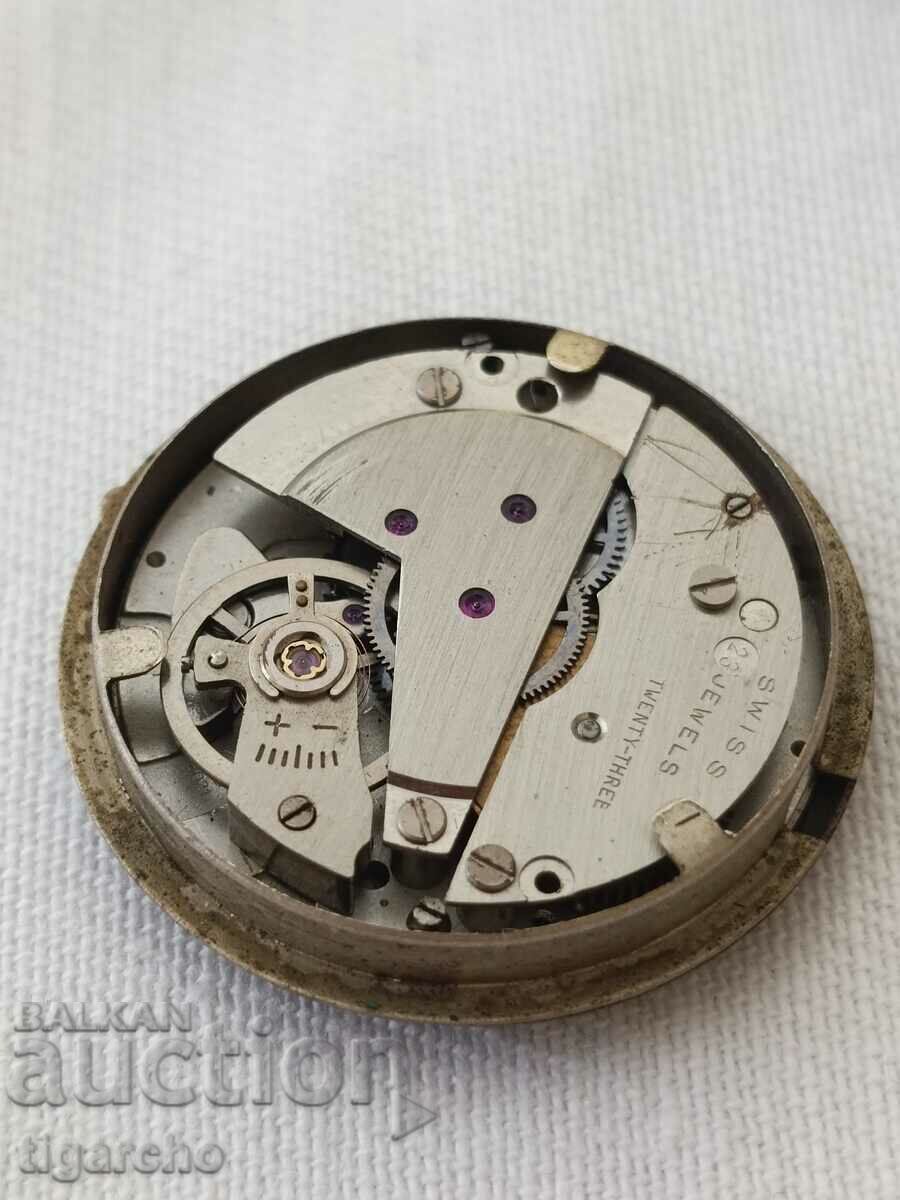 Delivery of Swiss watch