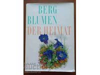 Berg-Blumen der Heimat. Λουλούδια του βουνού Ελβετία