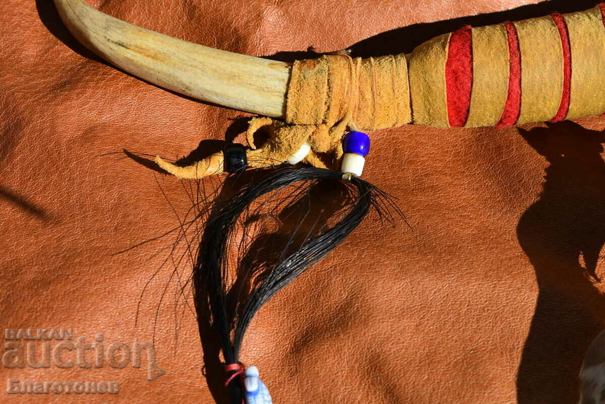 Auction Pumpkin Chuck Auction Pumpkin Chuck