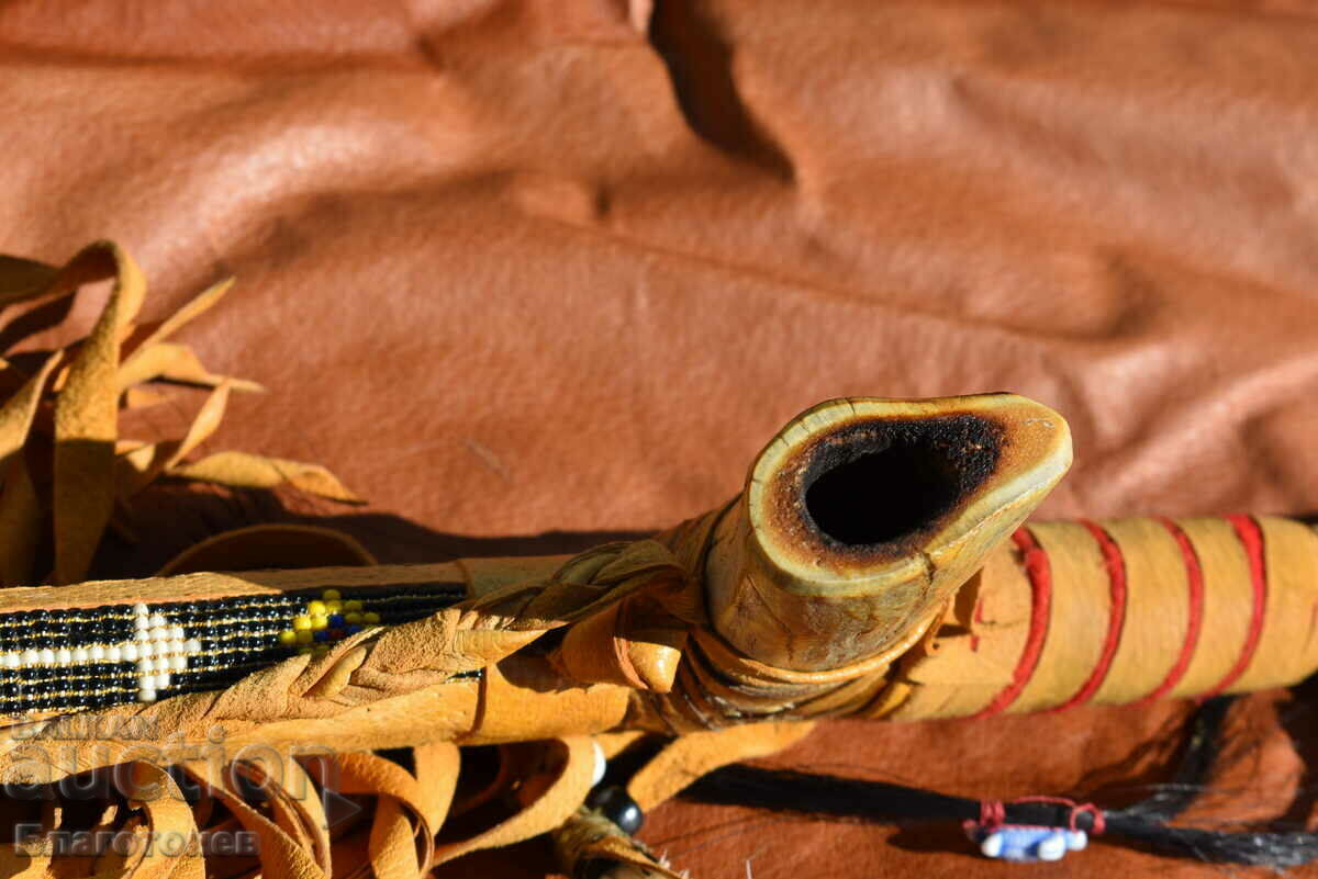 Pumpkin Chuck - 6 Pumpkin Chuck - 6