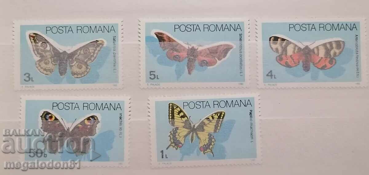 Romania - butterflies