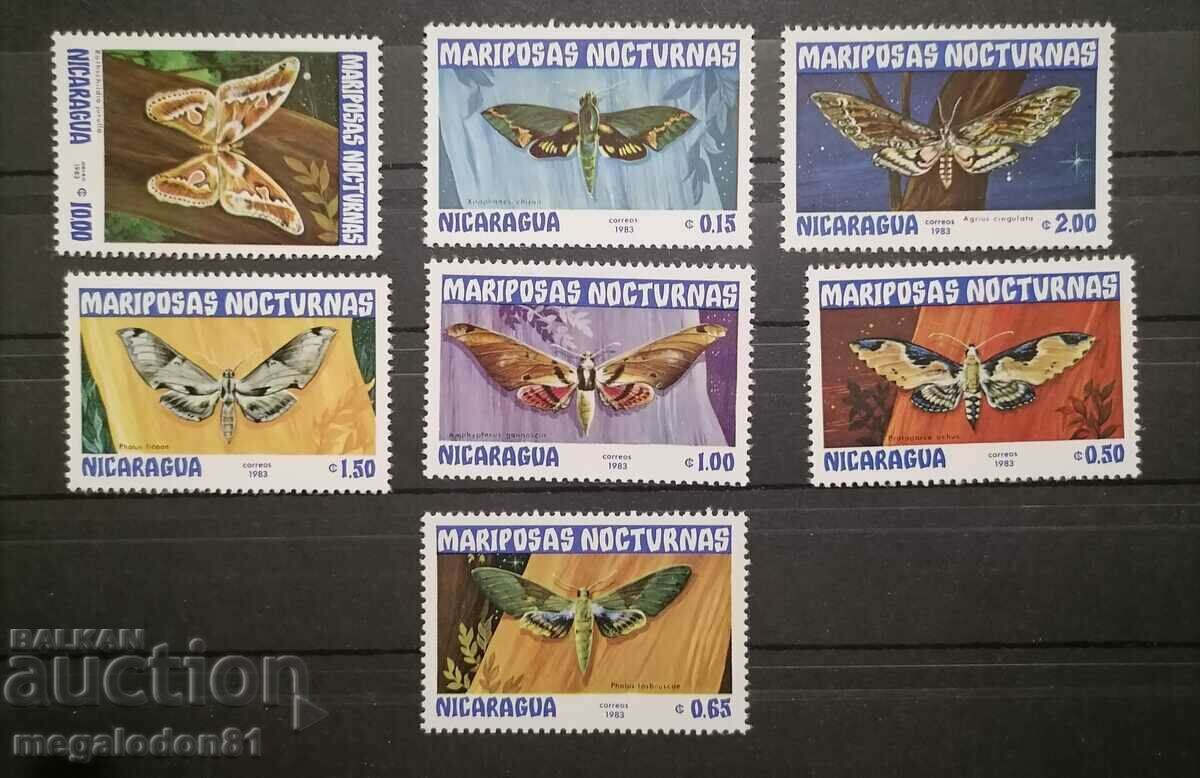 Nicaragua - moths