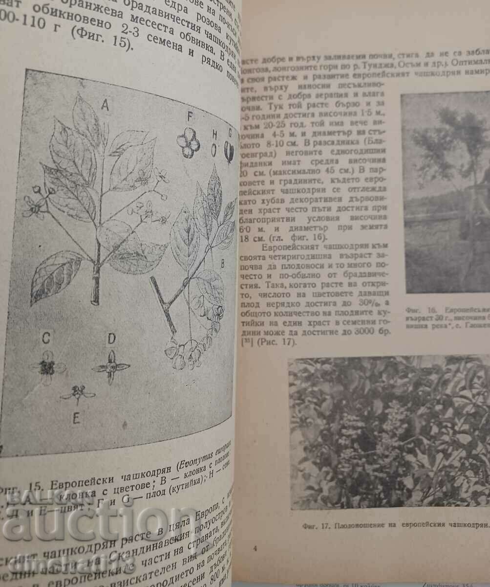 Caracteristicile biologice ale poporului cehoslovac. Gutaperca: M. Dakov - 5 Caracteristicile biologice ale poporului cehoslovac. Gutaperca: M. Dakov - 5