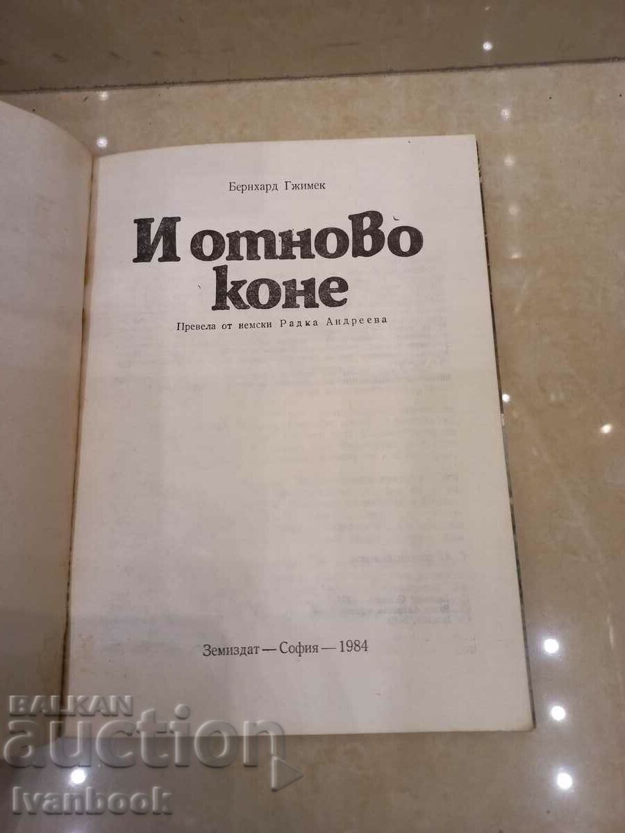 Auction And horses again - Bernhard Gzimek Auction And horses again - Bernhard Gzimek