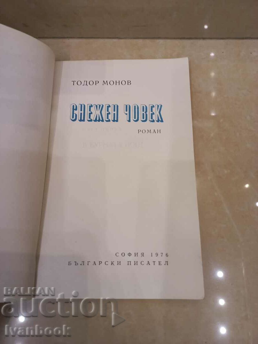 Auction Snowman - Todor Monov Auction Snowman - Todor Monov