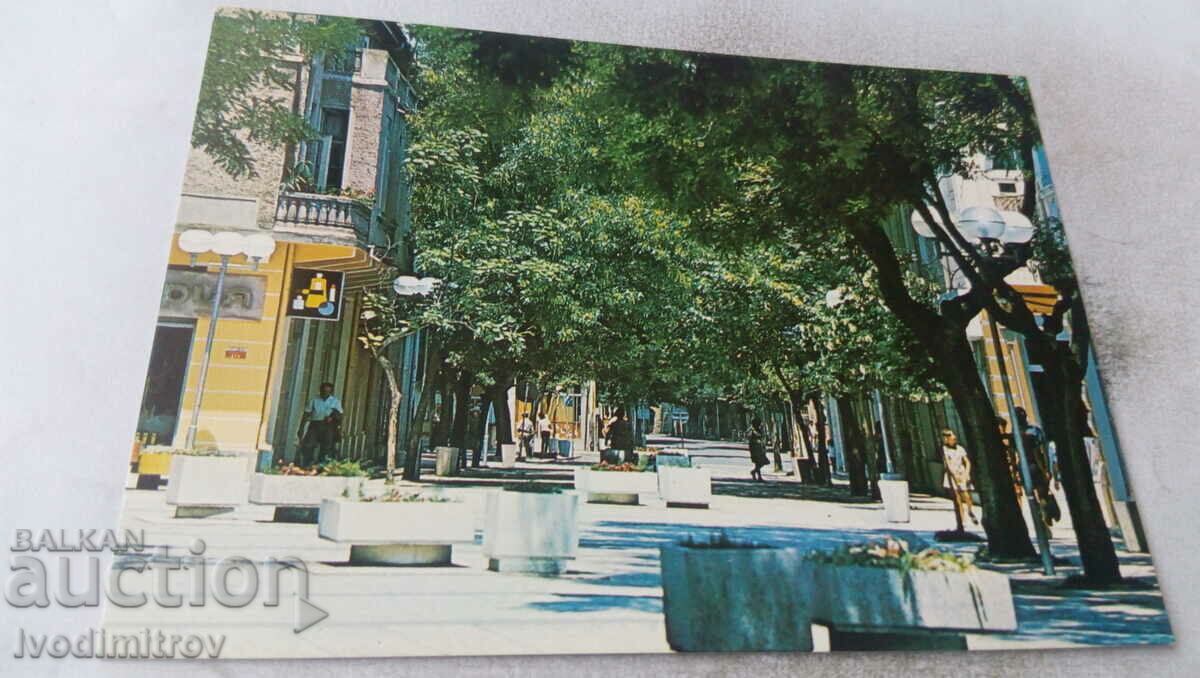 Postcard Pomorie Center 1981