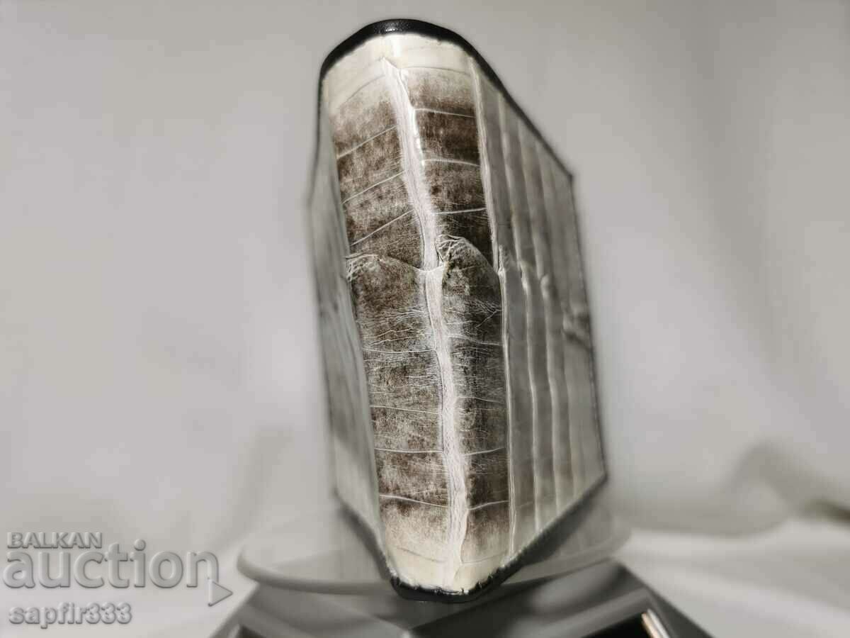 LUXURY NATURAL CROCODILE LEATHER WALLET - 6 LUXURY NATURAL CROCODILE LEATHER WALLET - 6