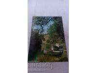 Καρτ ποστάλ Ropotamo River 1980