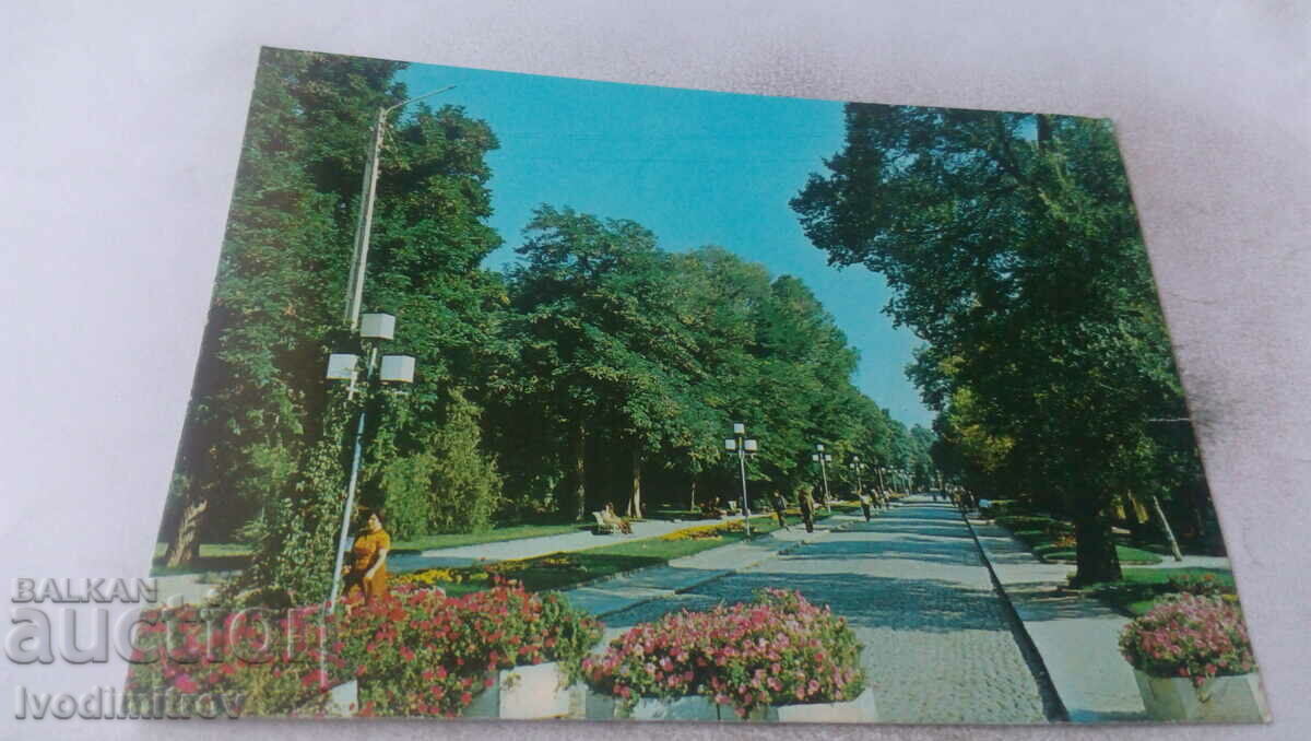 Postcard Sandanski City Park 1980