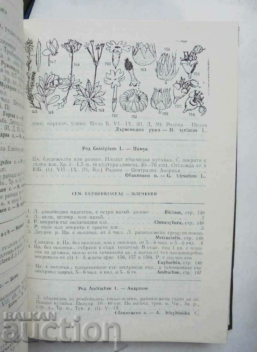 Auction Determinant of Plants in Bulgaria - D. Delipavlov 1992. Auction Determinant of Plants in Bulgaria - D. Delipavlov 1992.