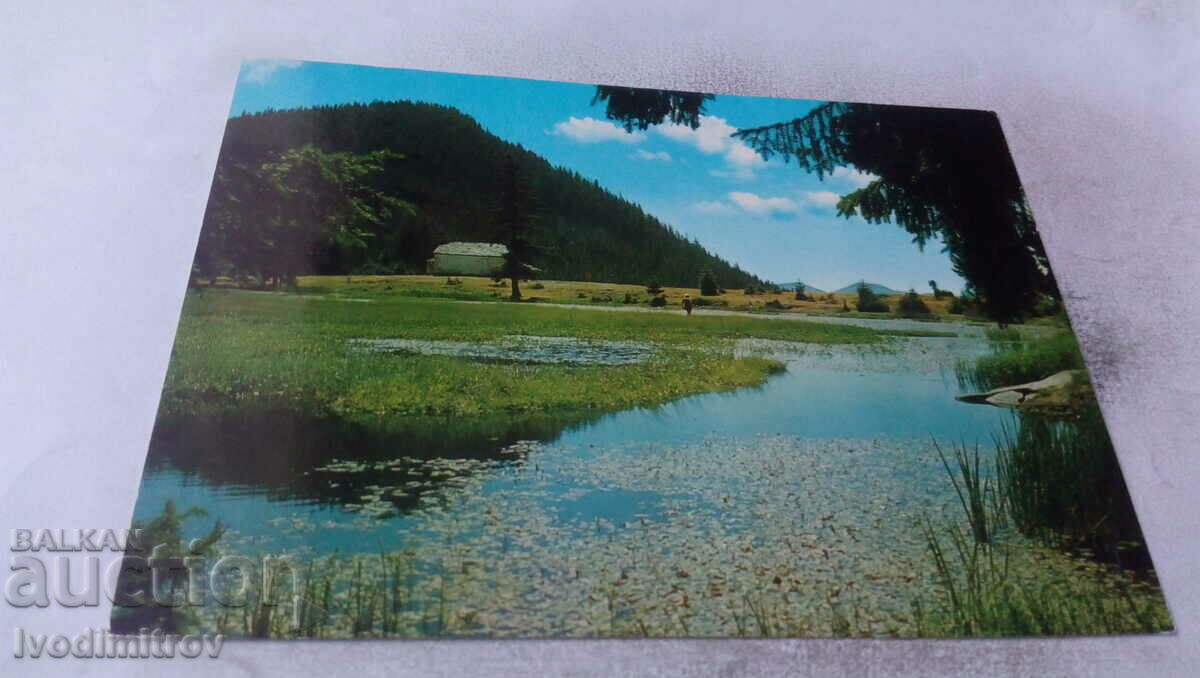 Пощенска картичка Смолян Смолянските езера 1973