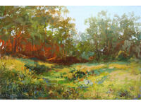 Forest landscaping - oil paints