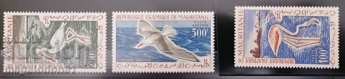 Mauritania - faună, păsări de apă