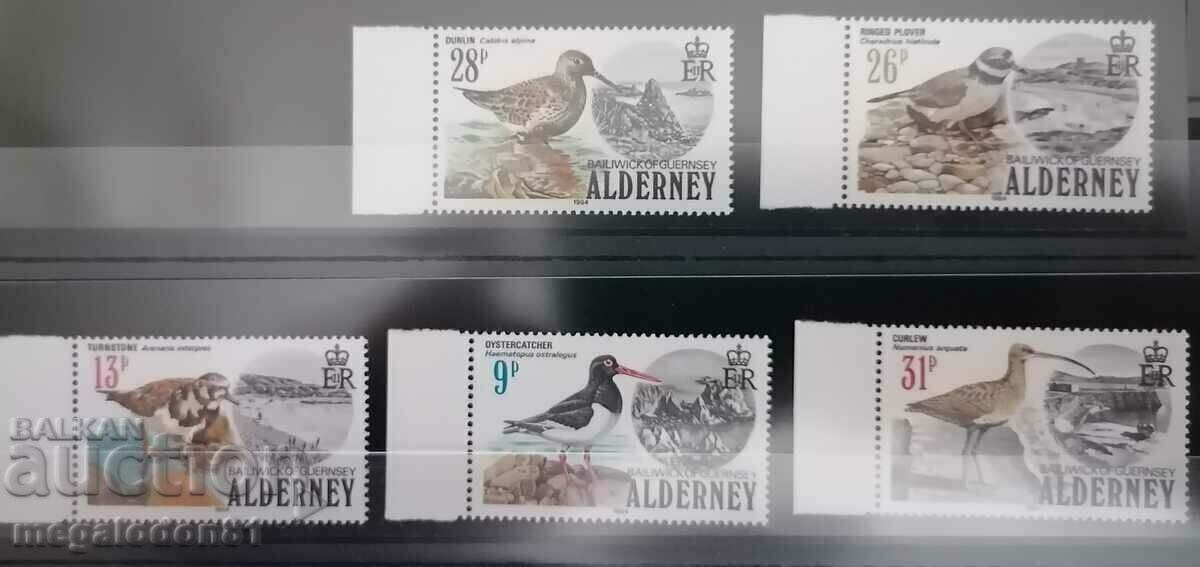 Алдърни (Великобритания) - фауна, водоплаващи птици