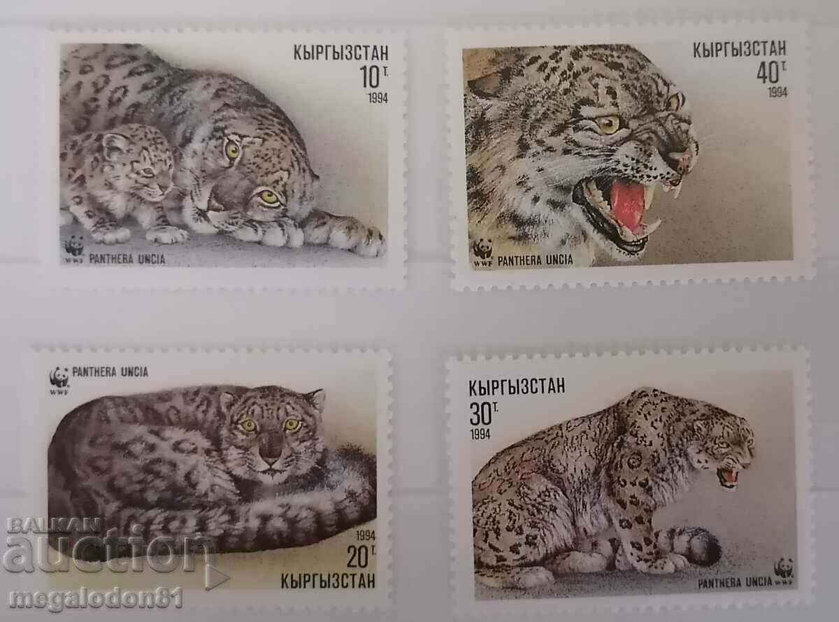 Киргизстан - WWF, снежен леопард