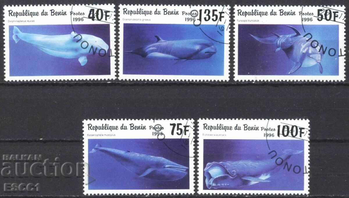 Клеймовани марки Фауна Китове 1996 от Бенин