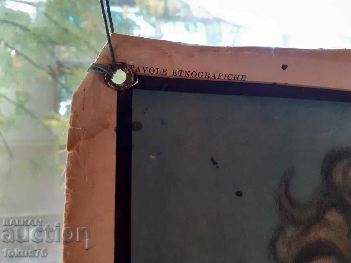 Very old poster anthropological print Human Races 1925. - 5 Very old poster anthropological print Human Races 1925. - 5