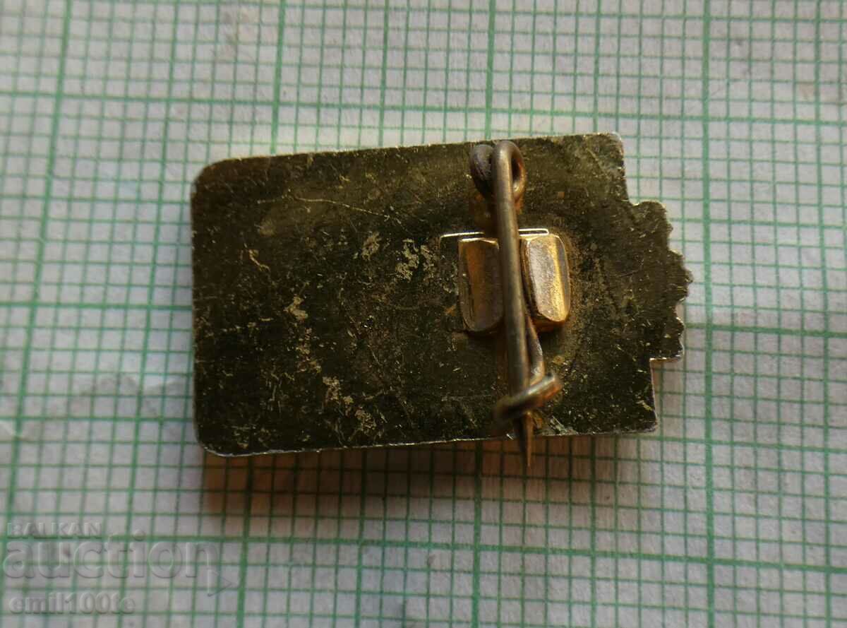 Delivery of Badge - OS of BASF Veliko Tarnovo