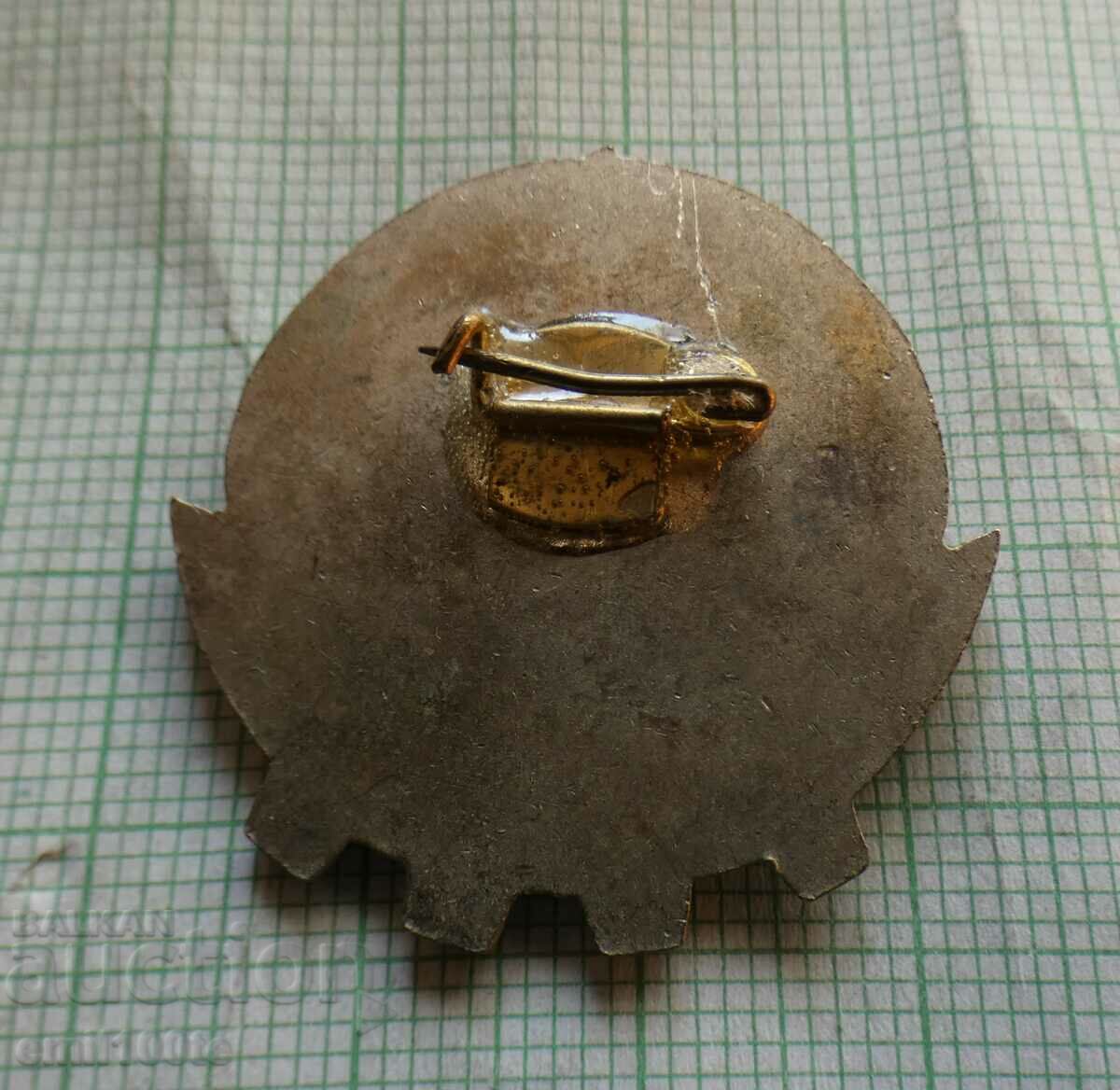 Delivery of Badge - Excellent in physical education Delivery of Badge - Excellent in physical education