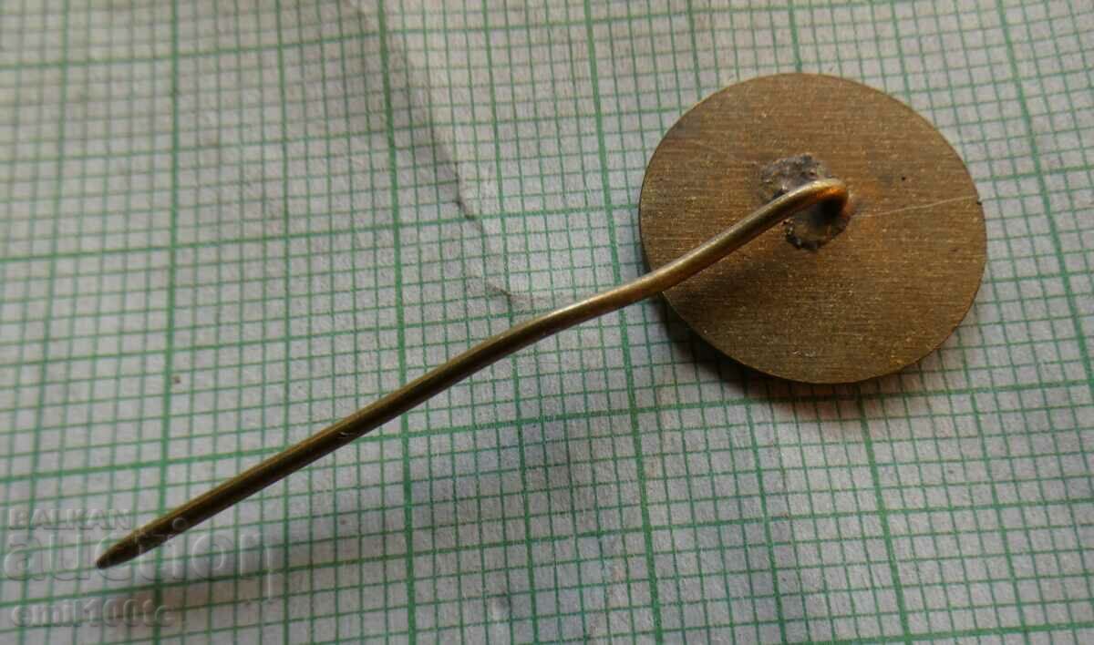 Delivery of Badge - European Cup Sofia 1979 Delivery of Badge - European Cup Sofia 1979