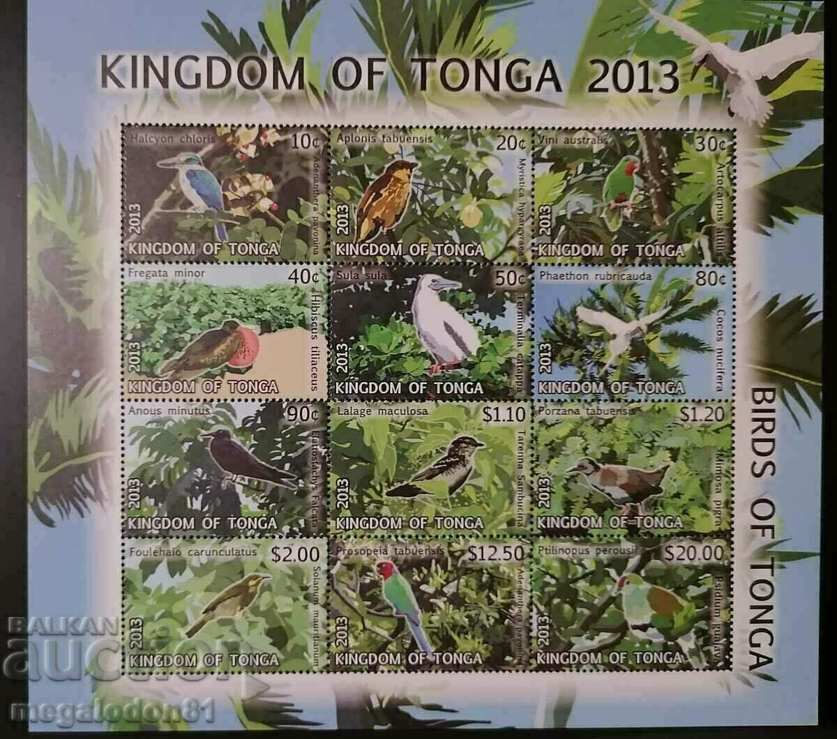 Τόνγκα - πανίδα, πουλιά