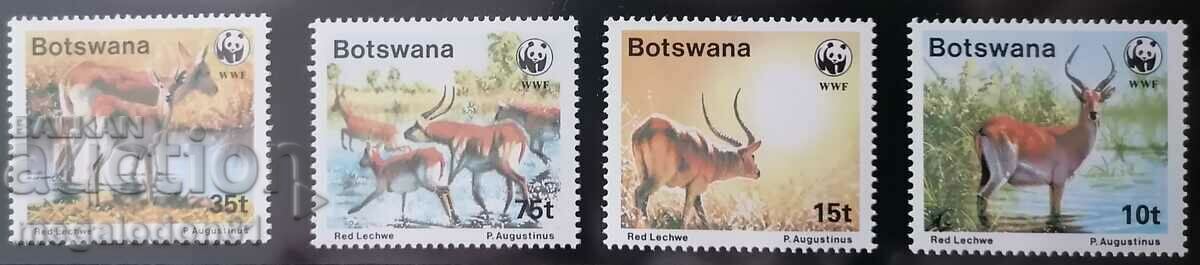 Botswana - fauna WWF, antilope