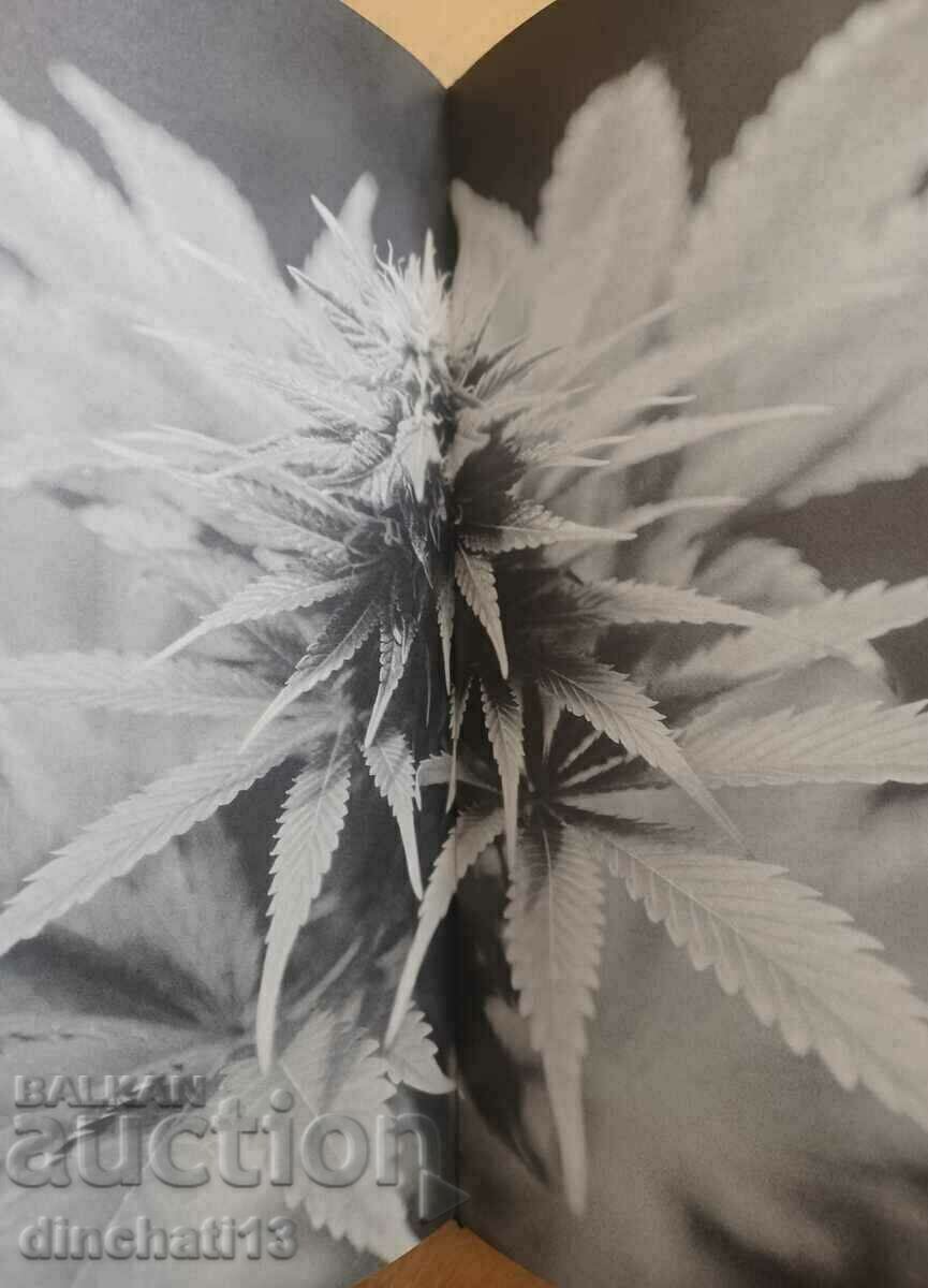 Livrarea Kosmologie der Freude: Alan Wilson Watts Livrarea Kosmologie der Freude: Alan Wilson Watts