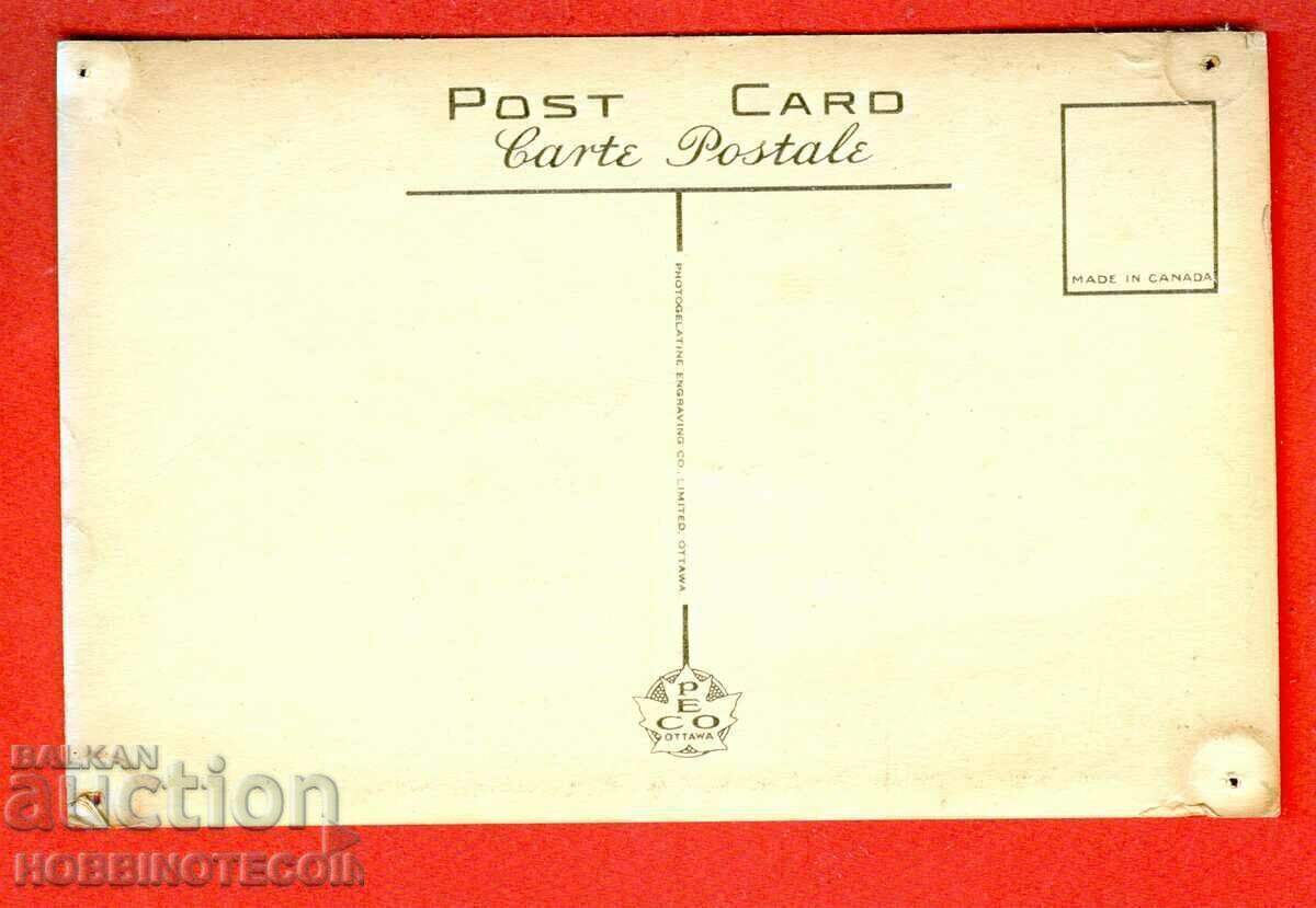 NU FOLOSIT - CÂINE CARD cu cărucior SPORT cu preț 9.76 BGN | € 4.99 NU FOLOSIT - CÂINE CARD cu cărucior SPORT cu preț 9.76 BGN | € 4.99