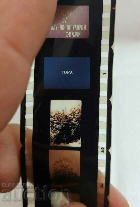 Auction FOREST SOC DIAFILM FILM FOR SLIDE PROJECTOR SLIDE PROJECTION Auction FOREST SOC DIAFILM FILM FOR SLIDE PROJECTOR SLIDE PROJECTION