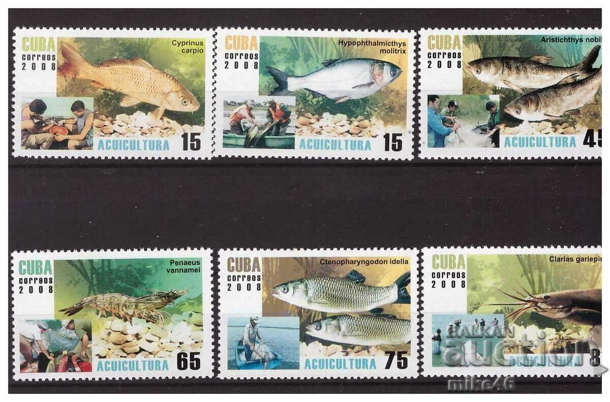 CUBA 2008 Fish/Fishing Clean Series