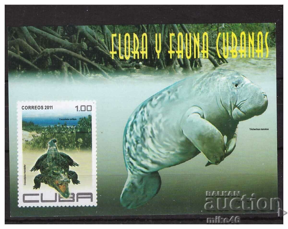 CUBA 2011 Fauna clean block