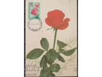 Card maxim trandafiri 8