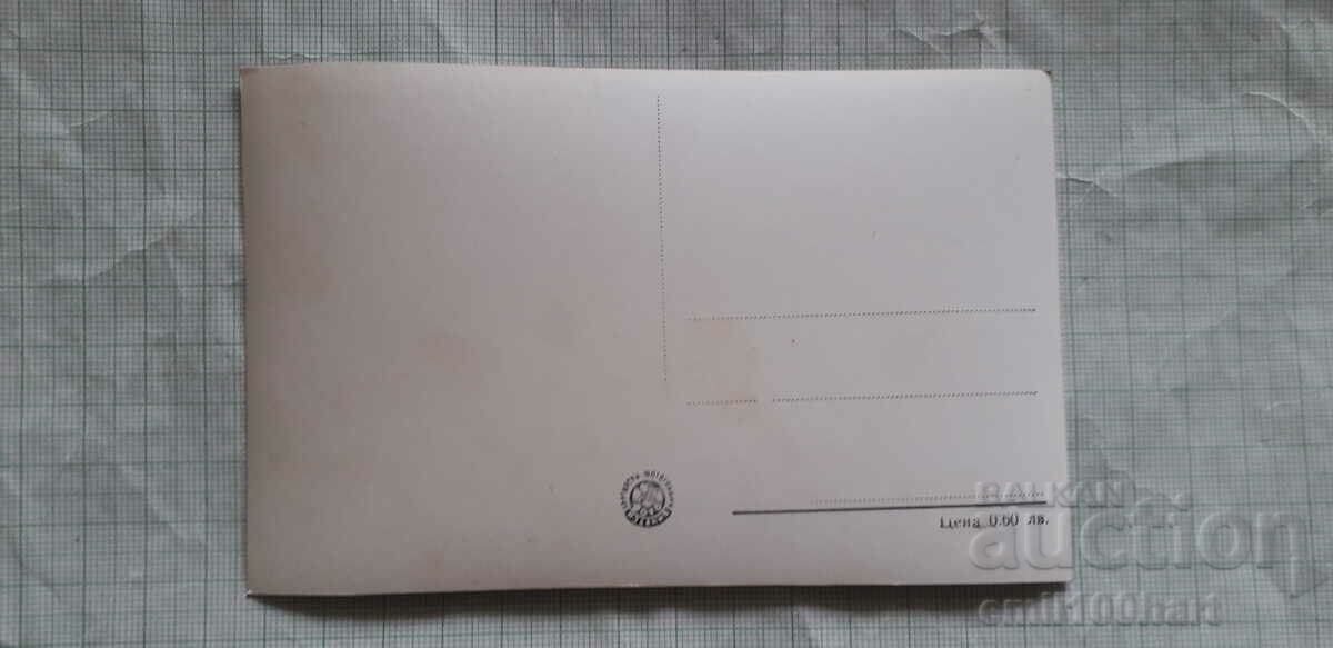 Map - Kozloduyskyi beach The port with price 3.00 BGN | € 1.53