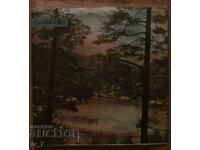 RECORD - Kdompi Tan, small format