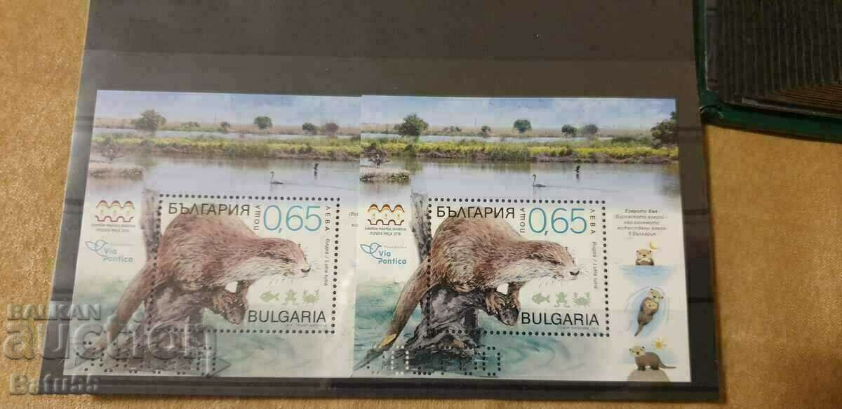 Български марки 2019 5432 MNH + UV