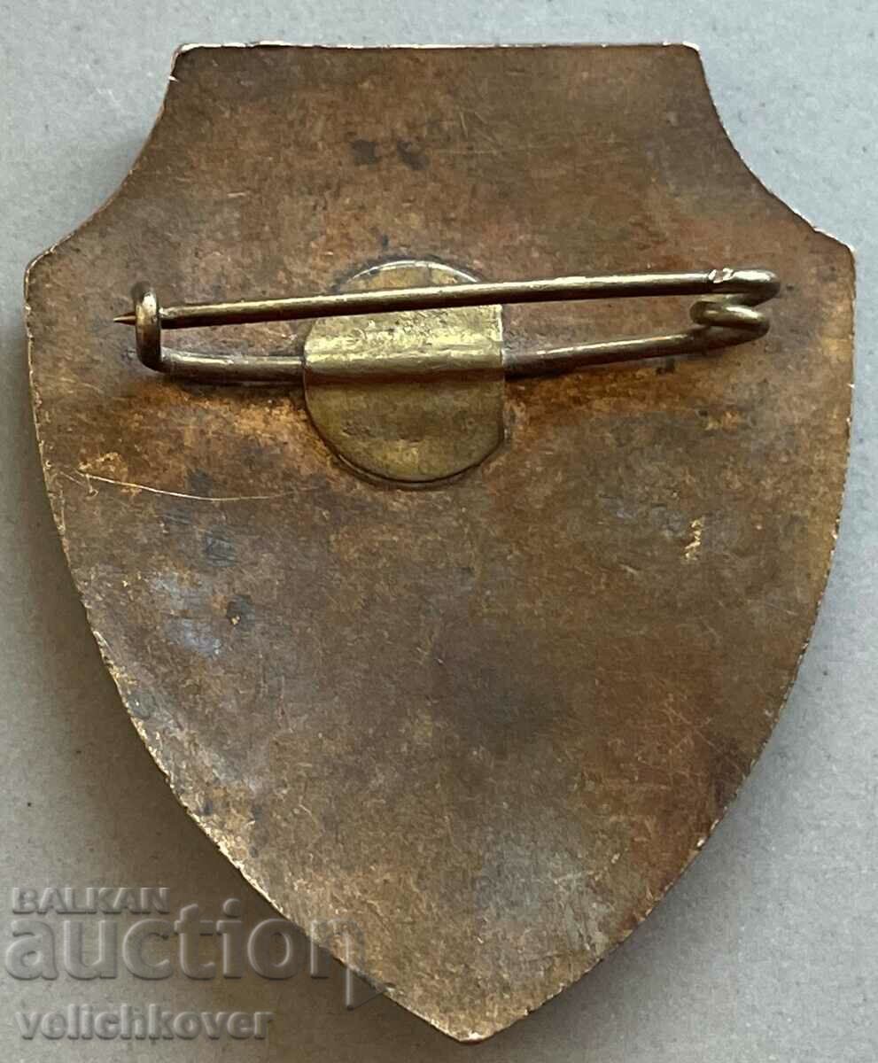 33388 Bulgaria sign Detachment volunteer assistant Ministry of Interior email with price 4.00 BGN | € 2.05