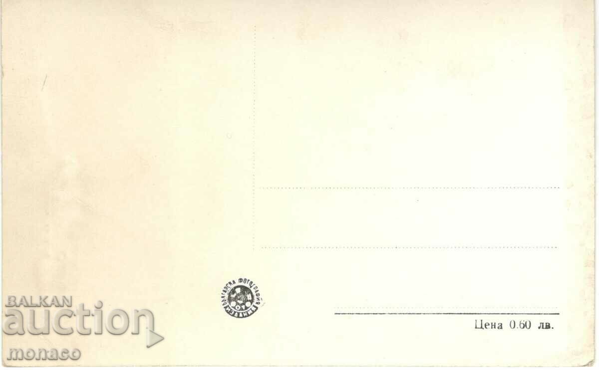 Old card - Devin, General view with price 2.00 BGN | € 1.02