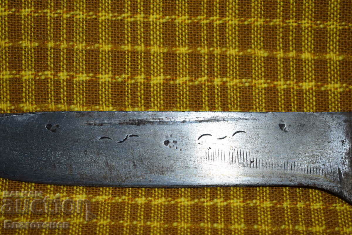 Cap de câine cuțit cu preț 185.00 BGN | € 94.59 Cap de câine cuțit cu preț 185.00 BGN | € 94.59