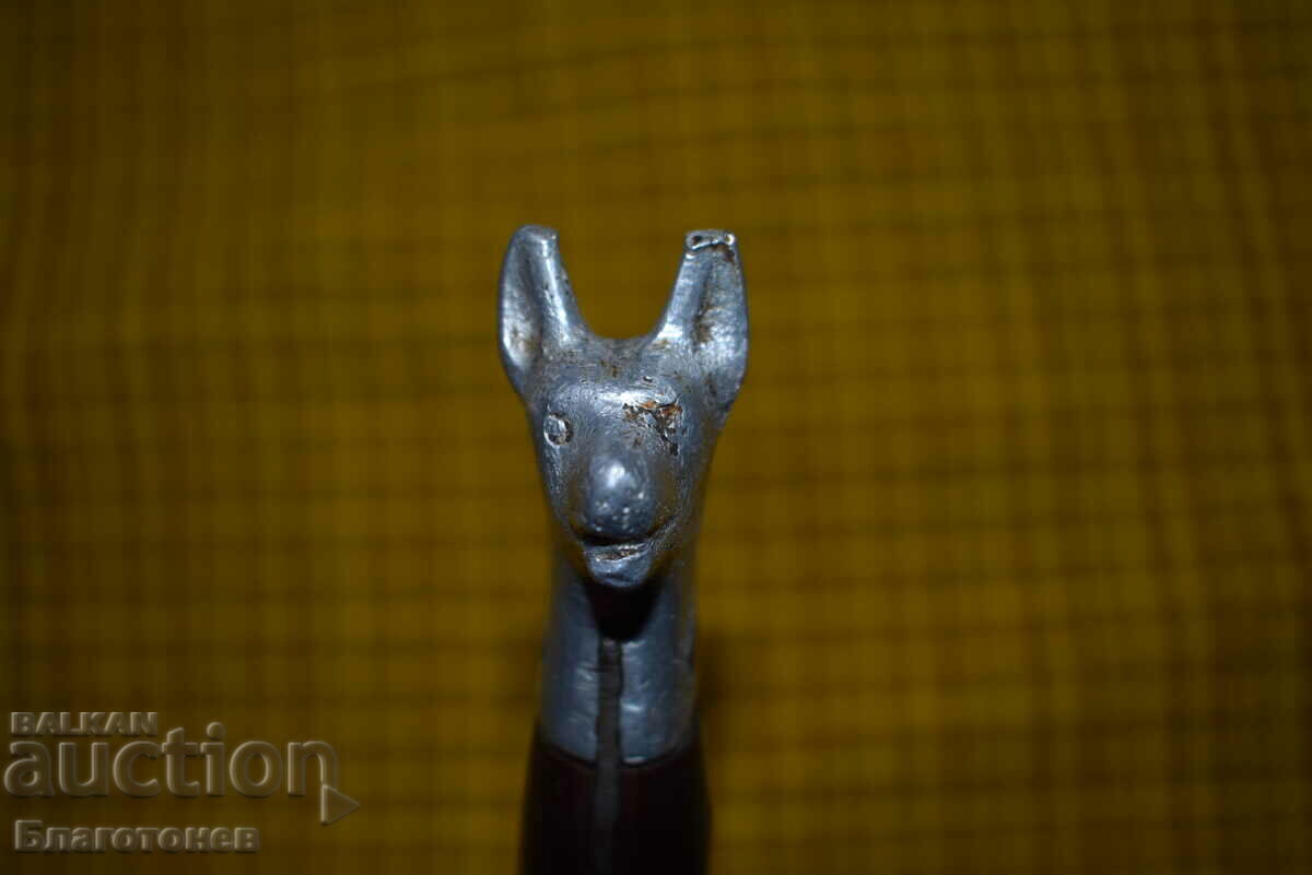 Livrarea Cap de câine cuțit Livrarea Cap de câine cuțit