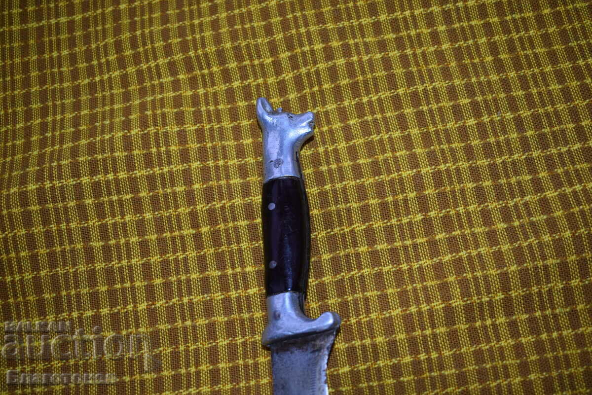 Cap de câine cuțit - 7 Cap de câine cuțit - 7