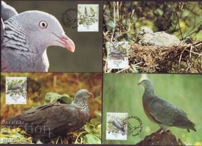 Madeira - Portugal 1991 - 4 cards Maximum - WWF with price 4.00 BGN | € 2.05