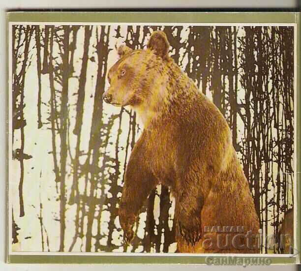 Card Bulgaria village of Cherni Osam Album with views 15 pieces* with price 9.00 BGN | € 4.60 Card Bulgaria village of Cherni Osam Album with views 15 pieces* with price 9.00 BGN | € 4.60